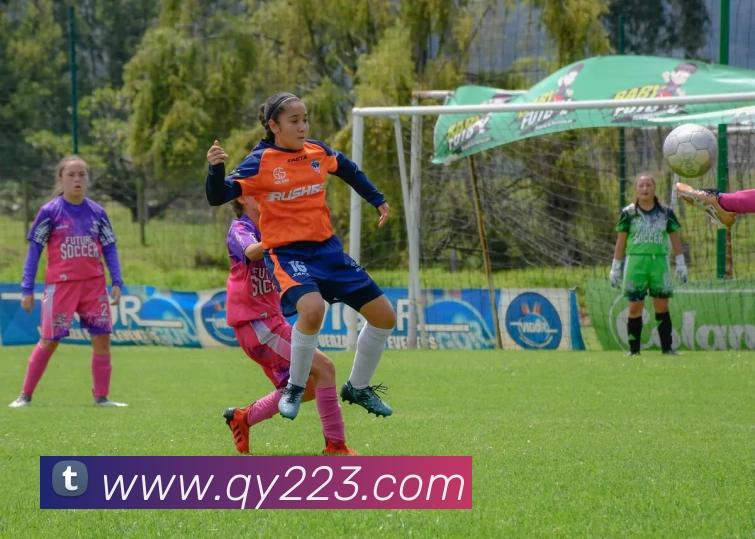 奖项证书